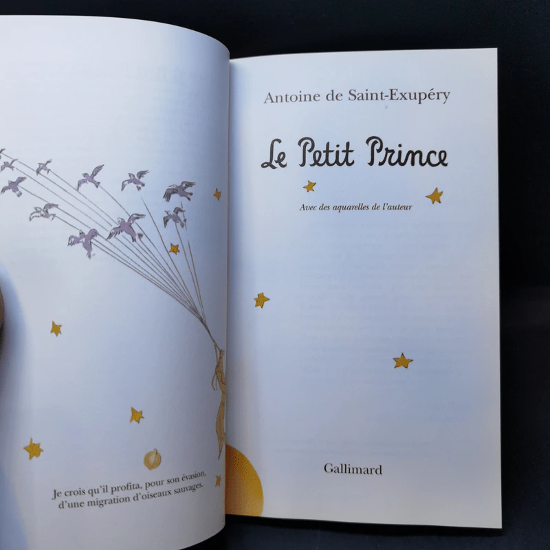 The Little Prince - Le Petit Prince รูปที่ 8