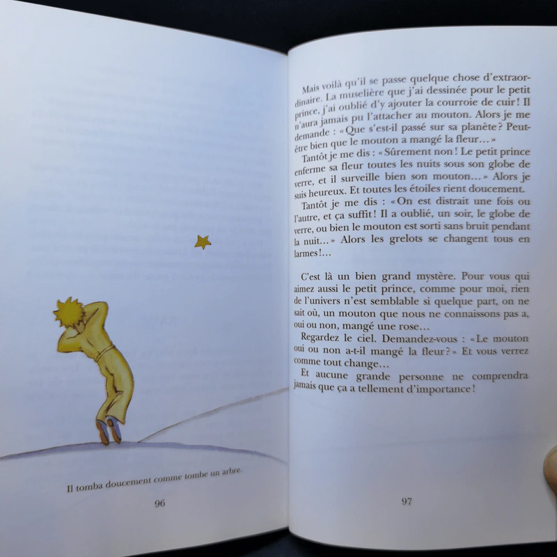 The Little Prince - Le Petit Prince รูปที่ 12