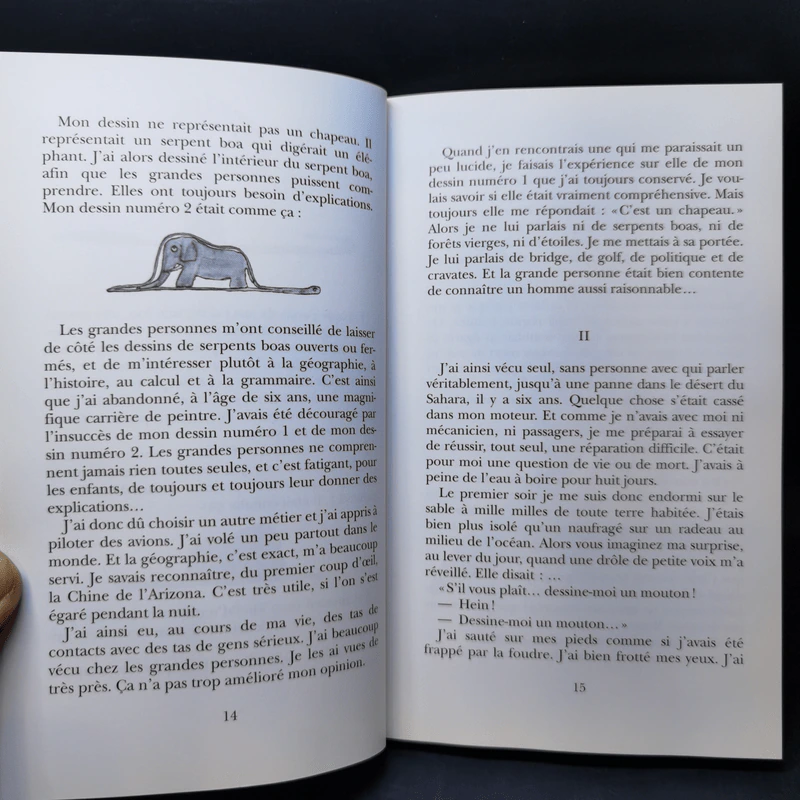 The Little Prince - Le Petit Prince รูปที่ 11