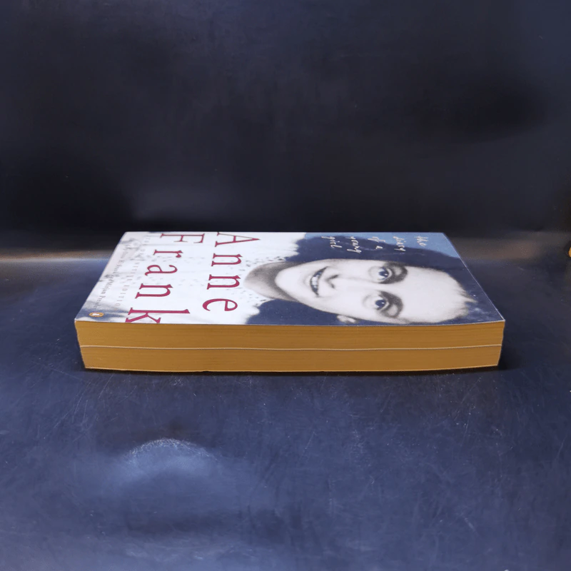 Anne Frank The Diary of a Young Girl รูปที่ 5