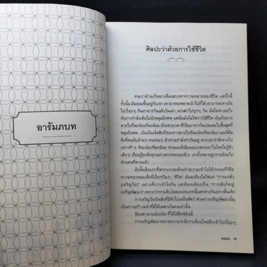 วุฒิภาวะ ศิลปะของผู้ถึงพร้อม Maturity - Osho รูปที่ 11