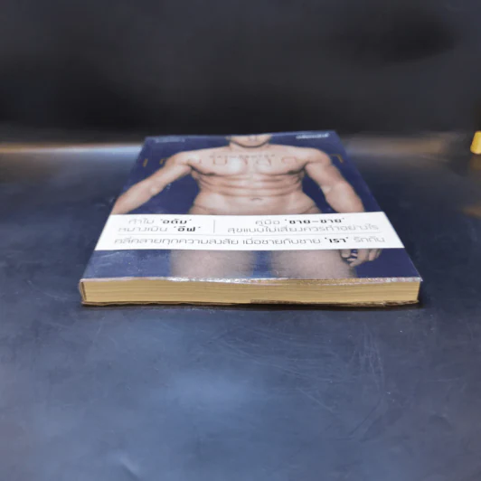 เกย์มาสูตรา GAYMASUTRA - เภสชกรแบงค์ รูปที่ 4
