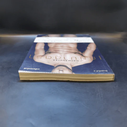 เกย์มาสูตรา GAYMASUTRA - เภสชกรแบงค์ รูปที่ 6