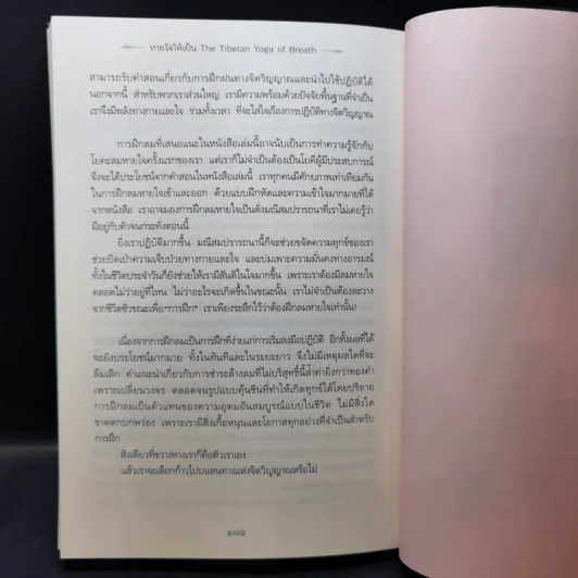 หายใจให้เป็น - Anyen Rinpoche, Allison Choying Zangmo รูปที่ 15
