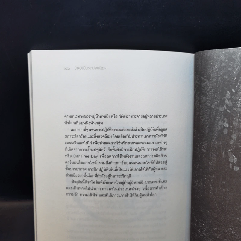 ปัจจุบันเป็นเวลาประเสริฐสุด - ติช นัท ฮันห์ รูปที่ 12
