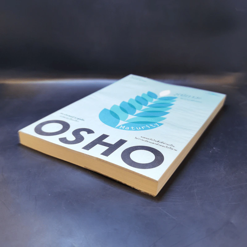 วุฒิภาวะ ศิลปะของผู้ถึงพร้อม Maturity - Osho รูปที่ 7