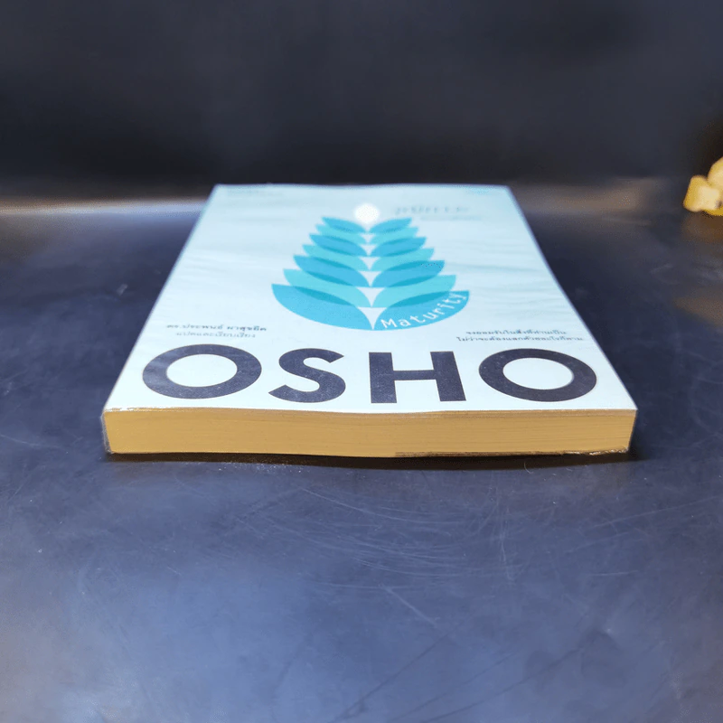 วุฒิภาวะ ศิลปะของผู้ถึงพร้อม Maturity - Osho รูปที่ 4