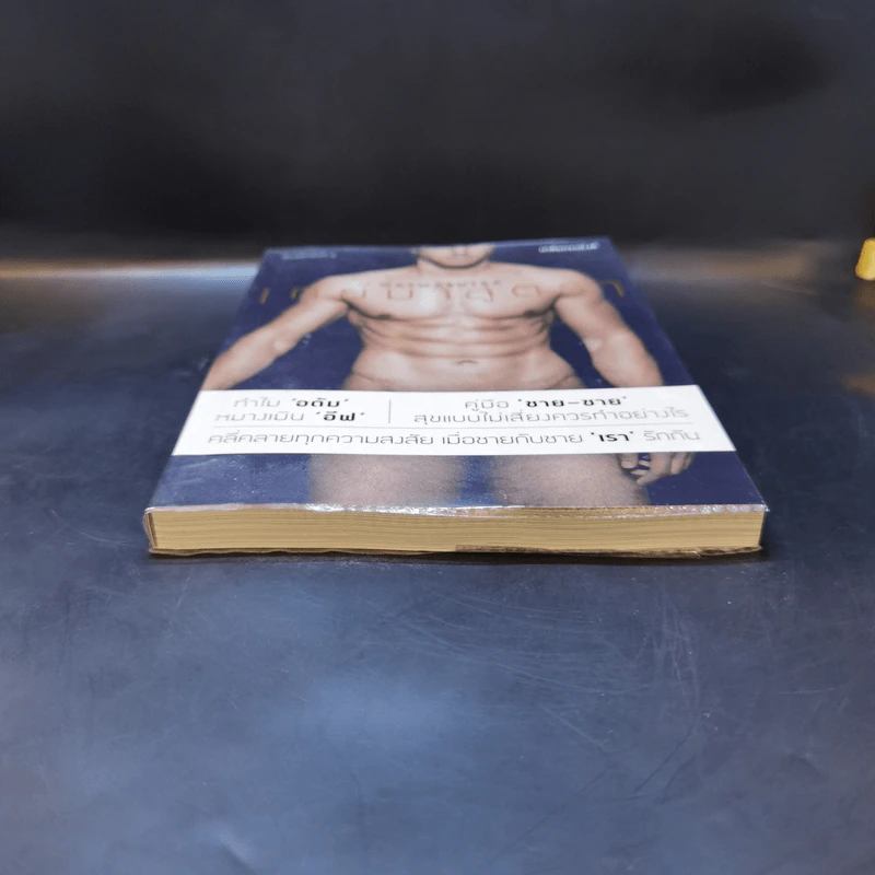 เกย์มาสูตรา GAYMASUTRA - เภสชกรแบงค์ รูปที่ 4
