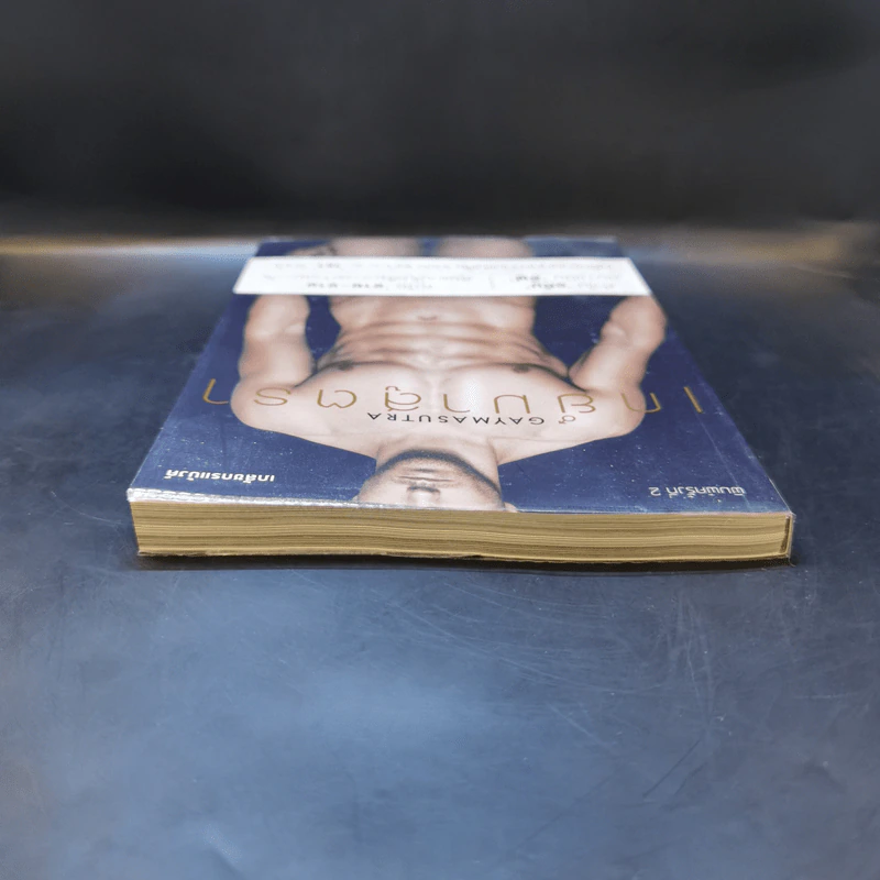 เกย์มาสูตรา GAYMASUTRA - เภสชกรแบงค์ รูปที่ 6