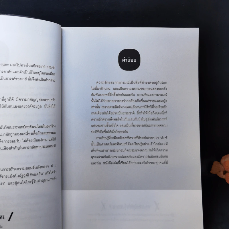 เกย์มาสูตรา GAYMASUTRA - เภสชกรแบงค์ รูปที่ 9