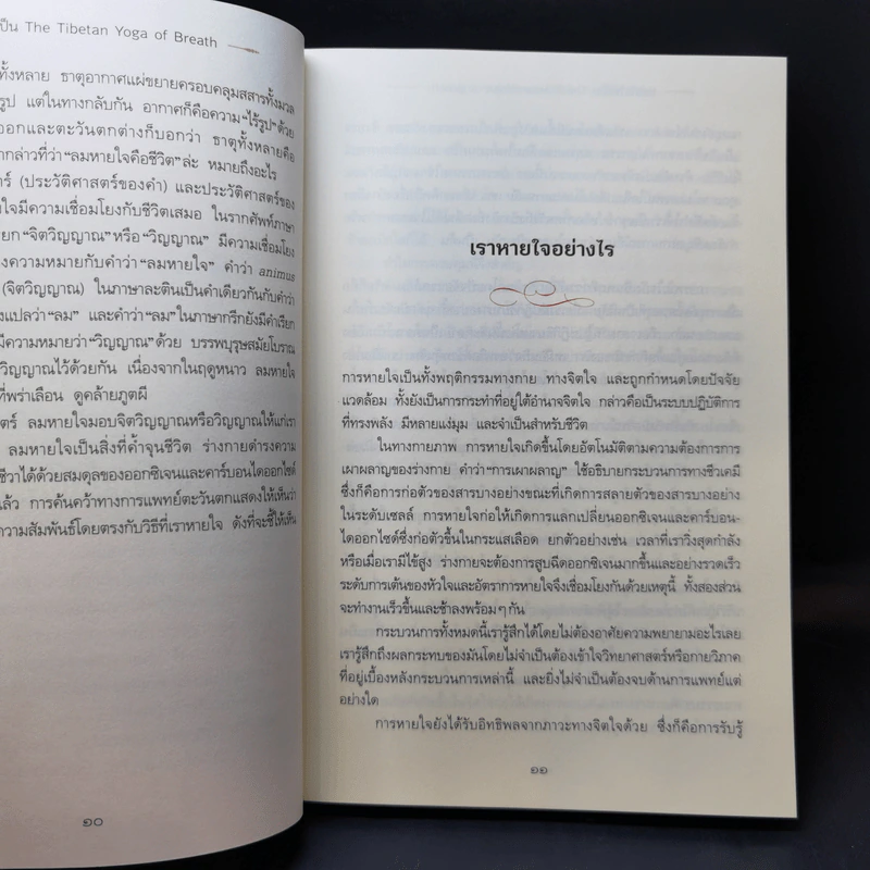 หายใจให้เป็น - Anyen Rinpoche, Allison Choying Zangmo รูปที่ 14