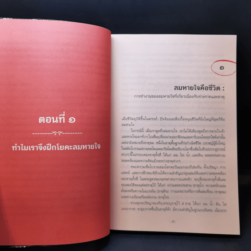 หายใจให้เป็น - Anyen Rinpoche, Allison Choying Zangmo รูปที่ 13
