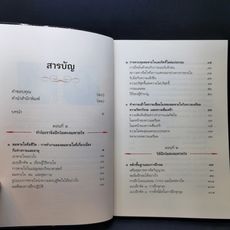 หายใจให้เป็น - Anyen Rinpoche, Allison Choying Zangmo รูปที่ 9