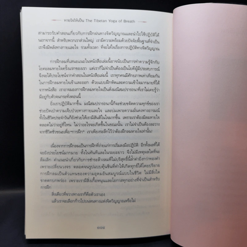 หายใจให้เป็น - Anyen Rinpoche, Allison Choying Zangmo รูปที่ 15