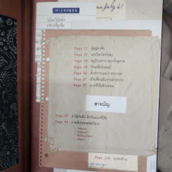 Microbiota อวัยวะที่ถูกลืม - ธิดากานต์ รุจิพัฒนกุล รูปที่ 8