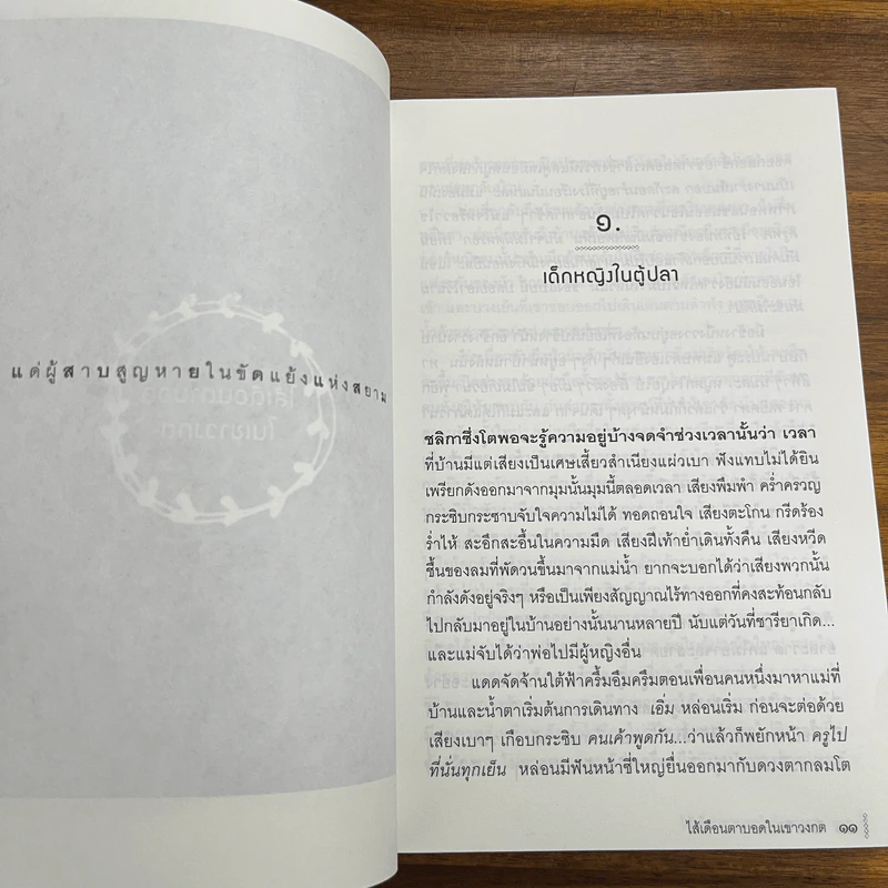 ไส้เดือนตาบอดในเขาวงกต - วีรพร นิติประภา รูปที่ 8