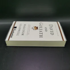 David and Goliath - Malcolm Gladwell รูปที่ 3