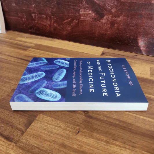 Mitochondria and the Future of Medicine - Lee Know รูปที่ 4