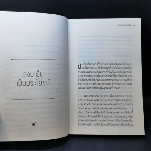 ทำเต็มที่แต่ไม่ซีเรียส - พระไพศาล วิสาโล รูปที่ 12