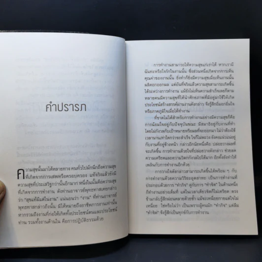 ทำเต็มที่แต่ไม่ซีเรียส - พระไพศาล วิสาโล รูปที่ 10