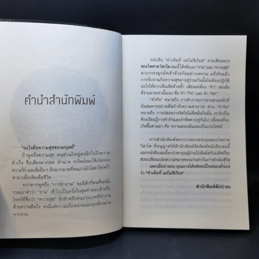 ทำเต็มที่แต่ไม่ซีเรียส - พระไพศาล วิสาโล รูปที่ 9