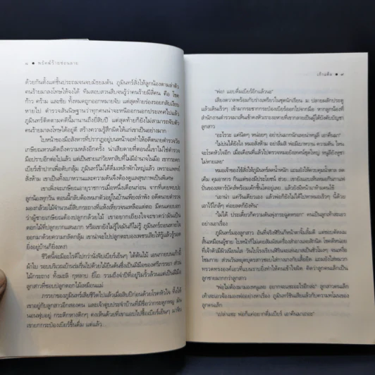 พยัคฆ์ร้ายซ่อนลาย - เก้าแต้ม รูปที่ 11