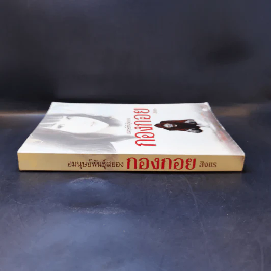 อมนุษย์พันธุ์สยอง กองกอย - สิงขร รูปที่ 3