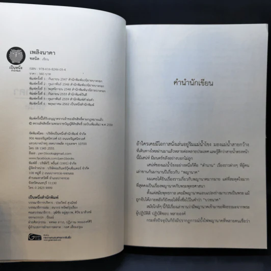 เพลิงนาคา - ชลนิล รูปที่ 8
