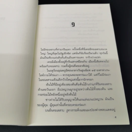 หลุม Holes - หลุยส์ ซัคเกอร์ รูปที่ 9