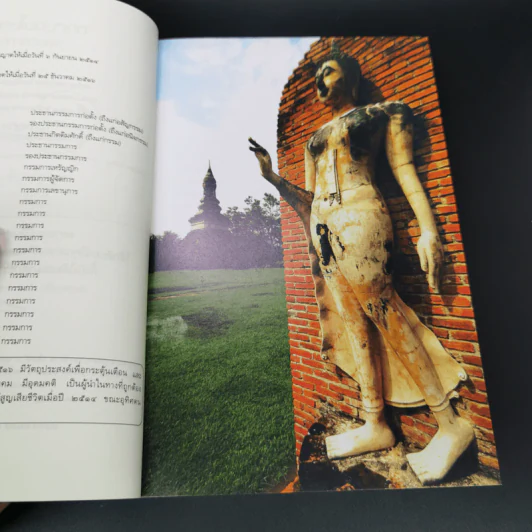 พุทธศาสนาไทยในอนาคต แนวโน้มและทางออกจากวิกฤต - พระไพศาล วิสาโล รูปที่ 9
