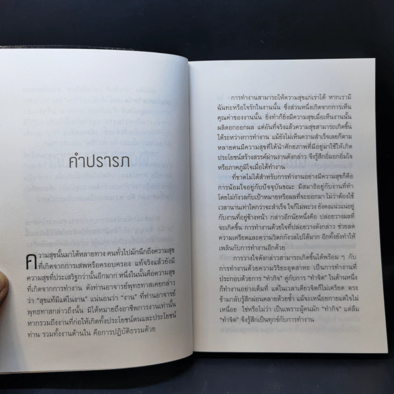 ทำเต็มที่แต่ไม่ซีเรียส - พระไพศาล วิสาโล รูปที่ 10