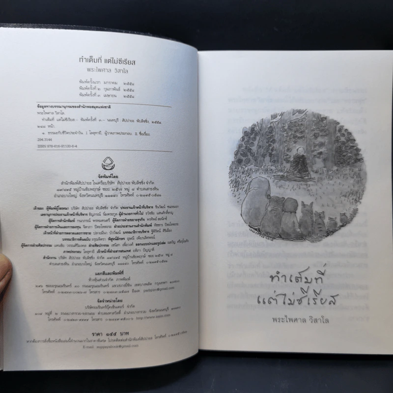 ทำเต็มที่แต่ไม่ซีเรียส - พระไพศาล วิสาโล รูปที่ 8