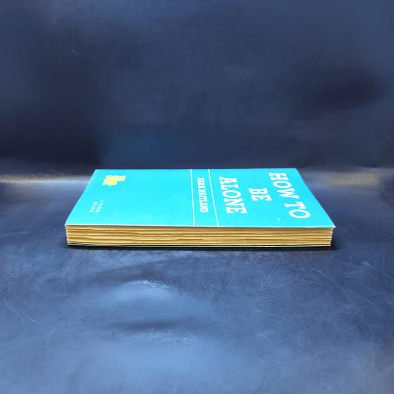 How to be Alone - Sara Maitland รูปที่ 5