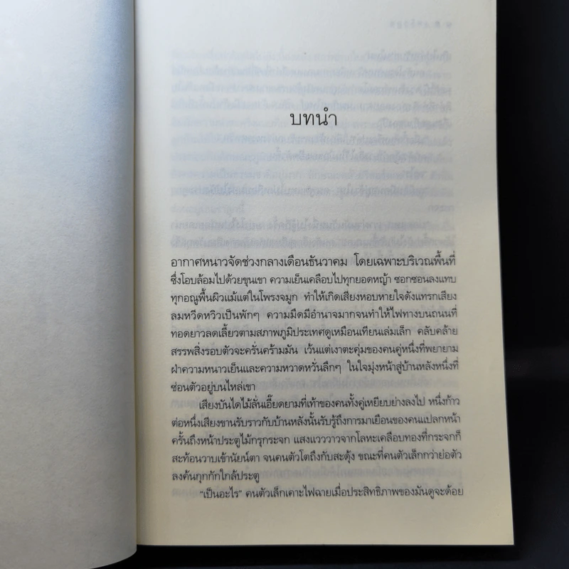 เพลิงภูต - หัสบรรณ รูปที่ 10