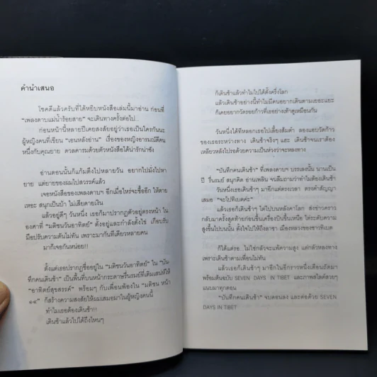 เดินเล่นบนหลังคาโลก - เพลงดาบแม่น้ำร้อยสาย รูปที่ 13