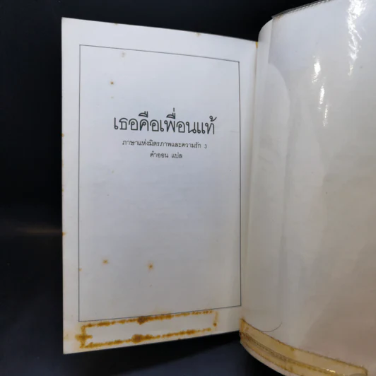 เธอคือเพื่อนแท้ ภาษาแห่งมิตรภาพและความรัก 3 รูปที่ 13