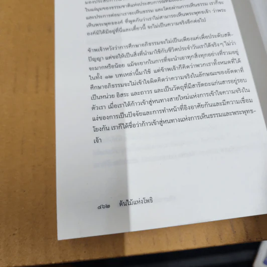 ต้นไม้แห่งโพธิ: คำสอนพื้นฐานแห่งพระพุทธศาสนา มหายาน วัชรยาน และอภิธรรม - Peter Della Santina รูปที่ 13