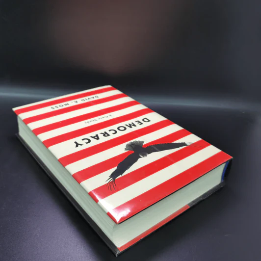 Democracy A Case Study - David A. Moss รูปที่ 5