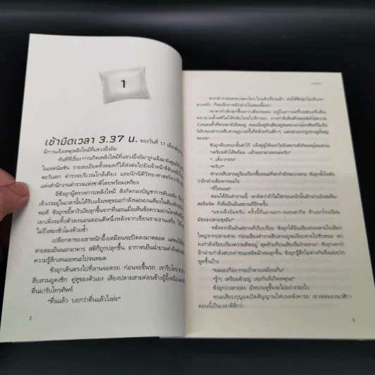 หลับฝันดีนะแม่จ๋า - ซอมีแอ รูปที่ 10