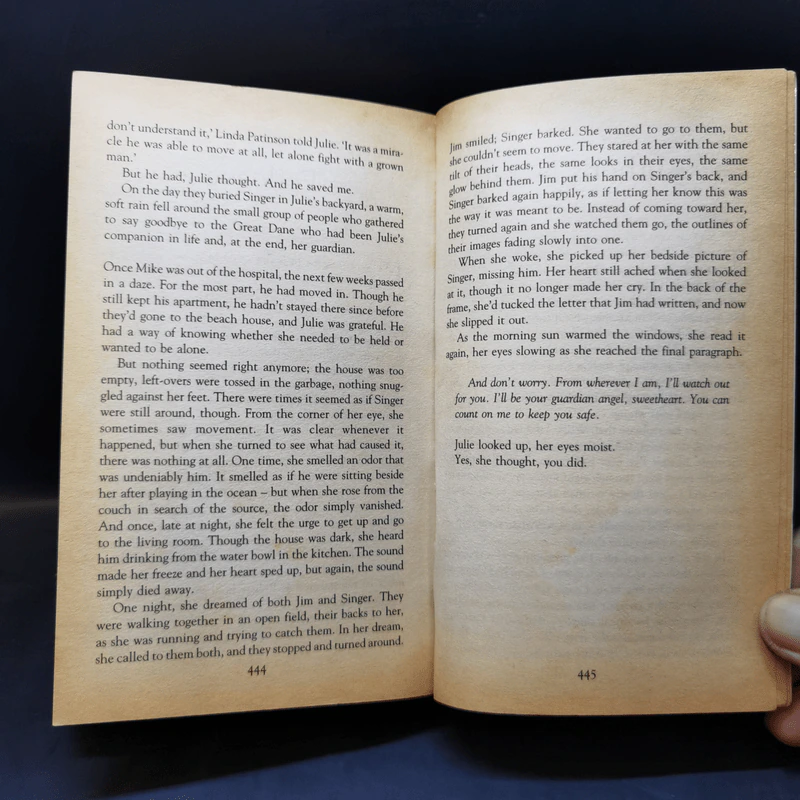 The Guardian - Nicholas Sparks รูปที่ 12