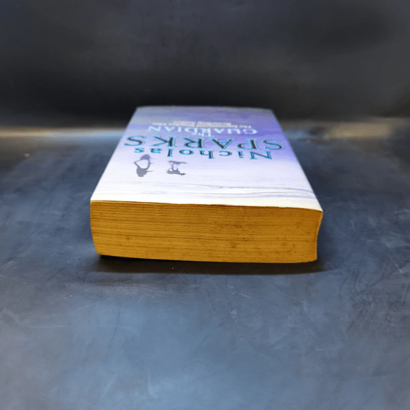The Guardian - Nicholas Sparks รูปที่ 6