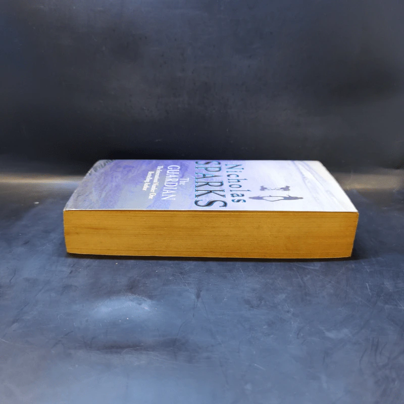 The Guardian - Nicholas Sparks รูปที่ 5