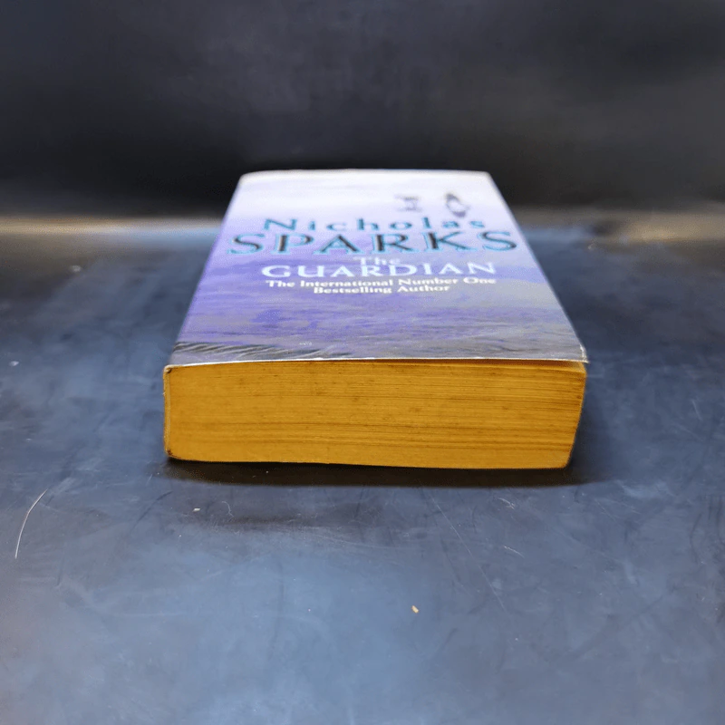 The Guardian - Nicholas Sparks รูปที่ 4