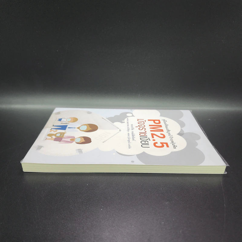 คู่มือเตรียมเผชิญหน้าวิกฤตฝุ่นพิษ PM2.5 มัจจุราชเงียบ รูปที่ 3