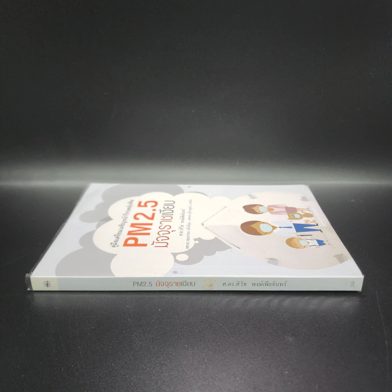 คู่มือเตรียมเผชิญหน้าวิกฤตฝุ่นพิษ PM2.5 มัจจุราชเงียบ รูปที่ 2