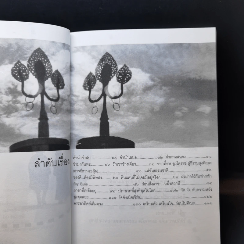 เดินเล่นบนหลังคาโลก - เพลงดาบแม่น้ำร้อยสาย รูปที่ 11