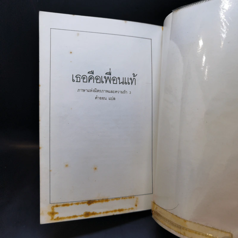 เธอคือเพื่อนแท้ ภาษาแห่งมิตรภาพและความรัก 3 รูปที่ 13