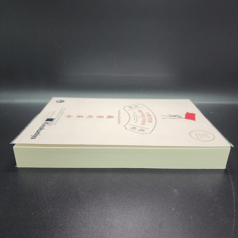 ประวัติศาสตร์จีนสมัยใหม่ - Rana Mitter รูปที่ 3
