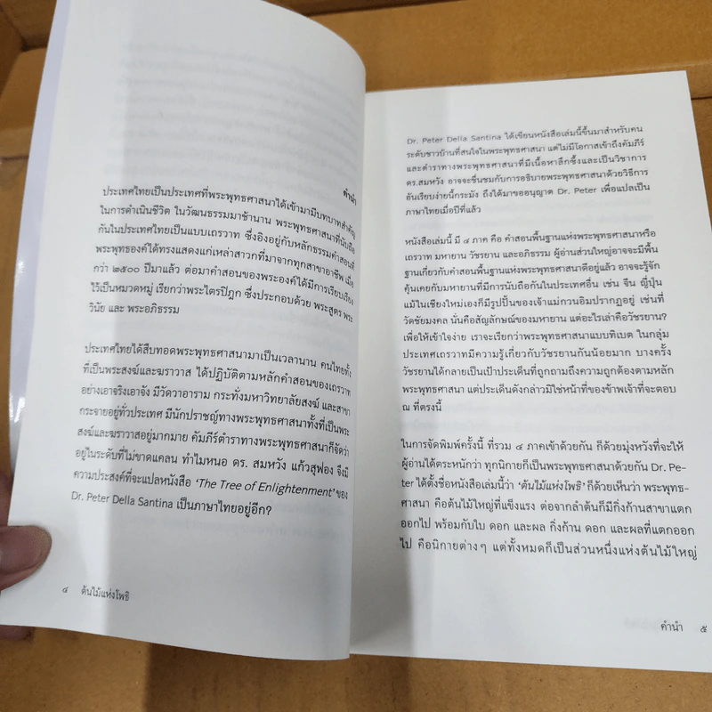 ต้นไม้แห่งโพธิ: คำสอนพื้นฐานแห่งพระพุทธศาสนา มหายาน วัชรยาน และอภิธรรม - Peter Della Santina รูปที่ 12