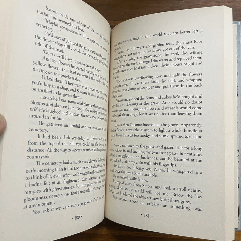 The Travelling Cat Chronicles - Hiro Arikawa รูปที่ 8